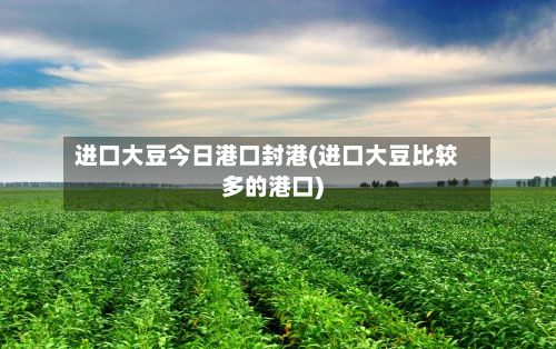 进口大豆今日港口封港(进口大豆比较多的港口)-第2张图片