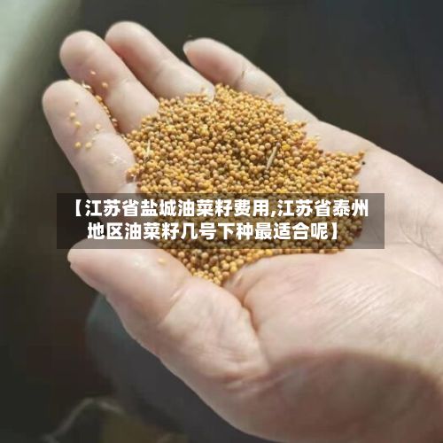【江苏省盐城油菜籽费用,江苏省泰州地区油菜籽几号下种最适合呢】