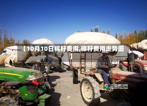 【10月10日棉籽费用,棉籽费用走势图】-第2张图片