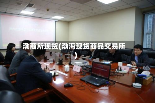 渤商所现货(渤海现货商品交易所)-第2张图片