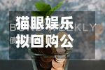 猫眼娱乐拟回购公司股份-第2张图片