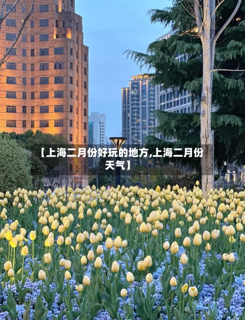 【上海二月份好玩的地方,上海二月份天气】