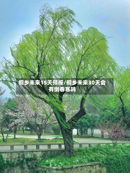 桐乡未来15天预报/桐乡未来30天会有倒春寒吗