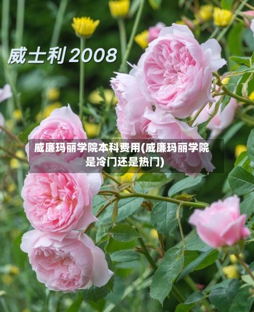 威廉玛丽学院本科费用(威廉玛丽学院是冷门还是热门)-第3张图片