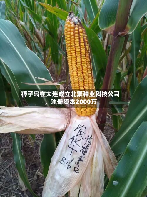 獐子岛在大连成立北繁种业科技公司	，注册资本2000万-第3张图片