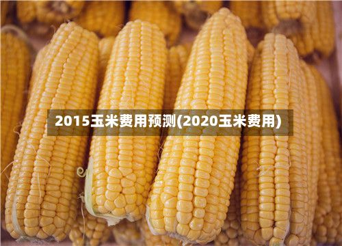 2015玉米费用预测(2020玉米费用)-第2张图片