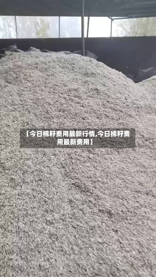 【今日棉籽费用最新行情,今日棉籽费用最新费用】-第2张图片