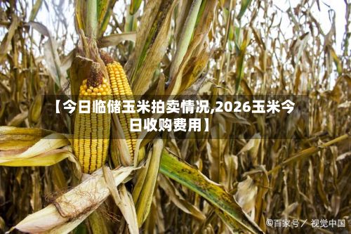 【今日临储玉米拍卖情况,2026玉米今日收购费用】-第2张图片