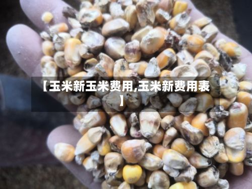 【玉米新玉米费用,玉米新费用表】-第2张图片