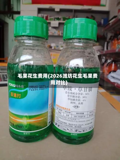 毛果花生费用(2026潍坊花生毛果费用对比)