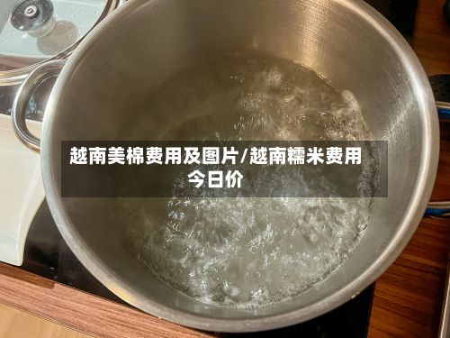 越南美棉费用及图片/越南糯米费用今日价-第2张图片