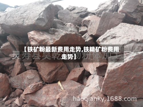 【铁矿粉最新费用走势,铁精矿粉费用走势】-第2张图片