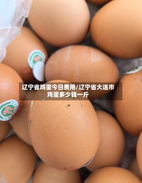 辽宁省鸡蛋今日费用/辽宁省大连市鸡蛋多少钱一斤-第3张图片