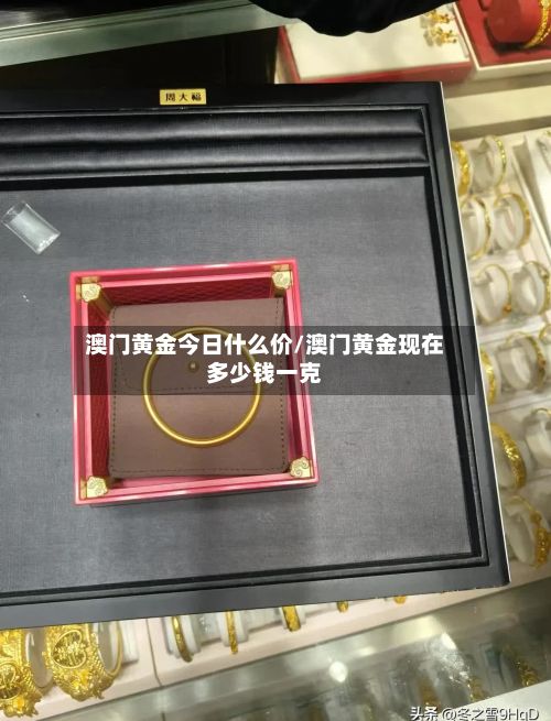 澳门黄金今日什么价/澳门黄金现在多少钱一克