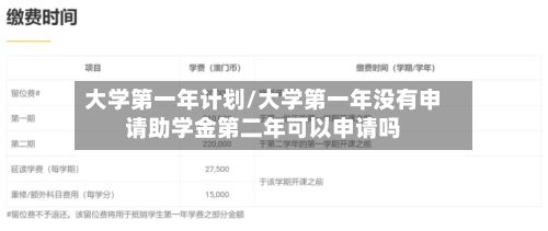 大学第一年计划/大学第一年没有申请助学金第二年可以申请吗