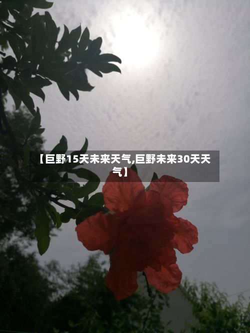 【巨野15天未来天气,巨野未来30天天气】