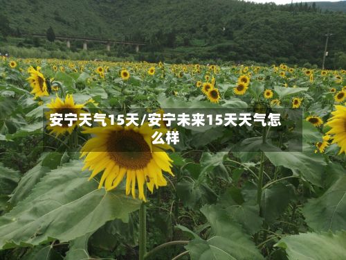 安宁天气15天/安宁未来15天天气怎么样