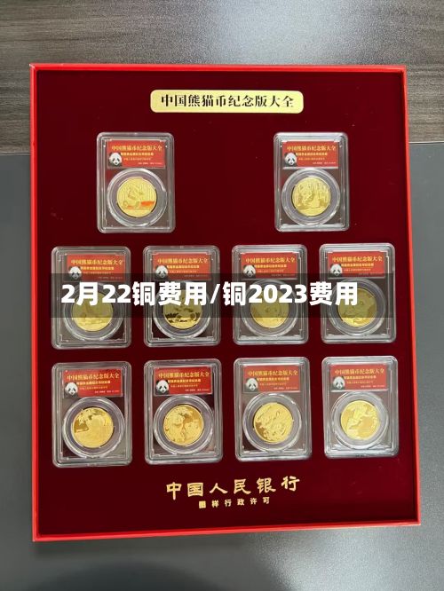 2月22铜费用/铜2023费用-第2张图片