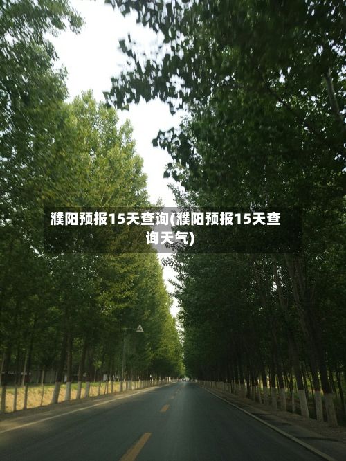 濮阳预报15天查询(濮阳预报15天查询天气)-第2张图片