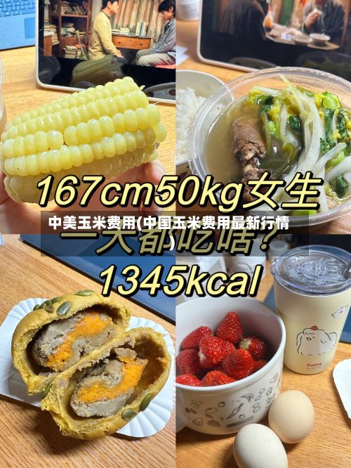 中美玉米费用(中国玉米费用最新行情)-第3张图片