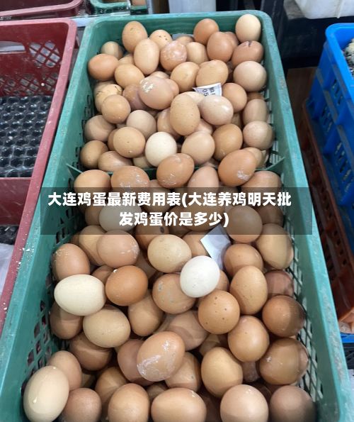 大连鸡蛋最新费用表(大连养鸡明天批发鸡蛋价是多少)