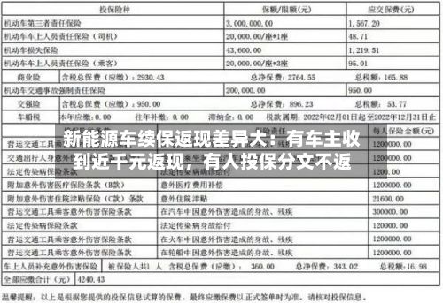 新能源车续保返现差异大：有车主收到近千元返现，有人投保分文不返-第2张图片