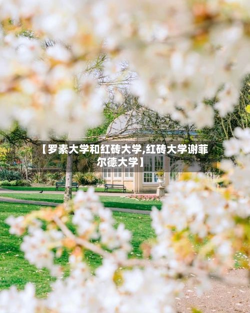 【罗素大学和红砖大学,红砖大学谢菲尔德大学】-第3张图片