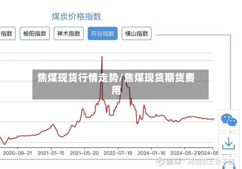 焦煤现货行情走势/焦煤现货期货费用