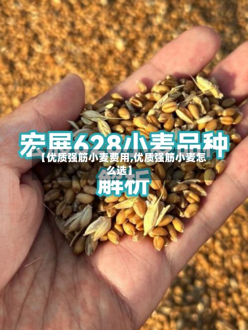 【优质强筋小麦费用,优质强筋小麦怎么选】-第3张图片