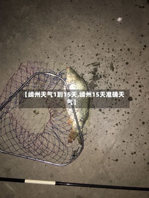 【嵊州天气1到15天,嵊州15天准确天气】-第3张图片