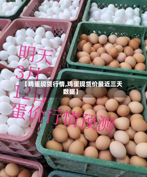 【鸡蛋现货行情,鸡蛋现货价最近三天数据】
