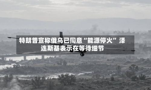 特朗普宣称俄乌已同意“能源停火	” 泽连斯基表示在等待细节-第1张图片
