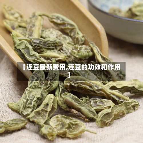 【连豆最新费用,连豆的功效和作用】-第3张图片