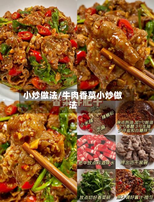 小炒做法/牛肉香菜小炒做法