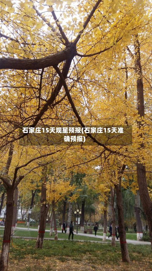 石家庄15天观星预报(石家庄15天准确预报)-第2张图片