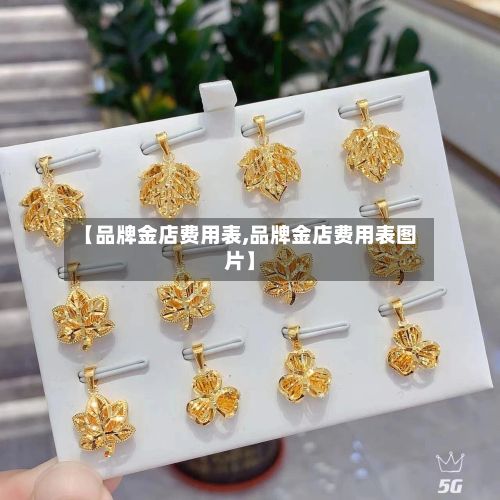 【品牌金店费用表,品牌金店费用表图片】