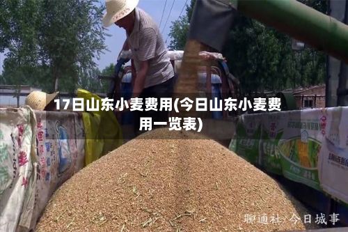 17日山东小麦费用(今日山东小麦费用一览表)-第2张图片