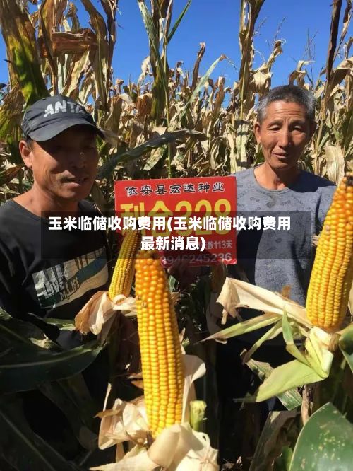 玉米临储收购费用(玉米临储收购费用最新消息)-第3张图片