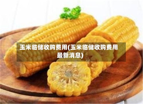 玉米临储收购费用(玉米临储收购费用最新消息)-第2张图片