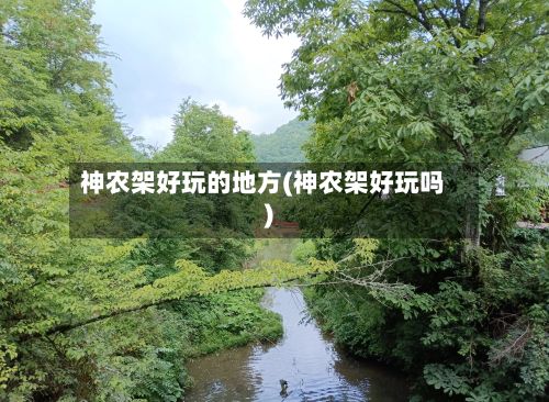 神农架好玩的地方(神农架好玩吗)