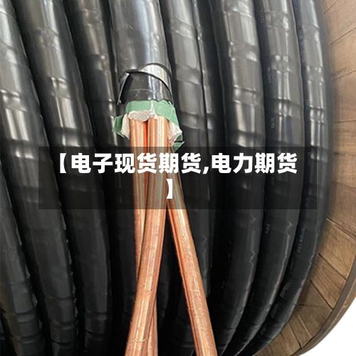 【电子现货期货,电力期货】-第2张图片