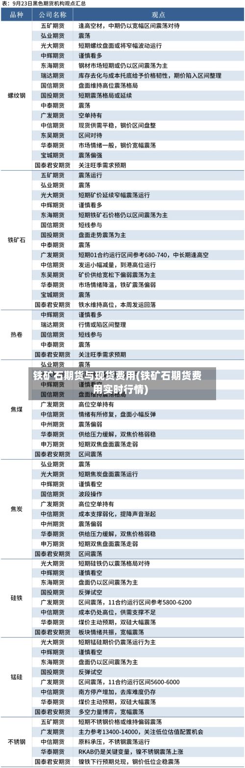 铁矿石期货与现货费用(铁矿石期货费用实时行情)-第3张图片