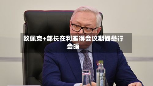 欧佩克+部长在利雅得会议期间举行会晤