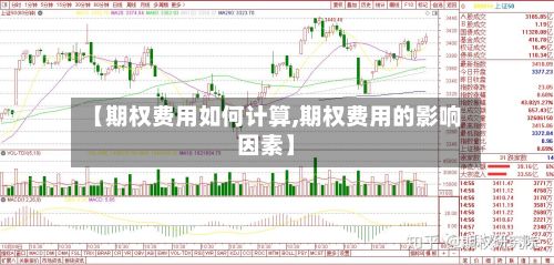 【期权费用如何计算,期权费用的影响因素】-第2张图片
