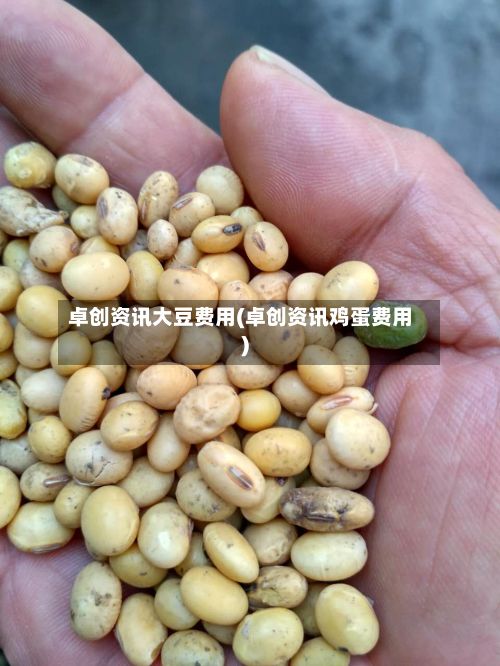 卓创资讯大豆费用(卓创资讯鸡蛋费用)-第2张图片