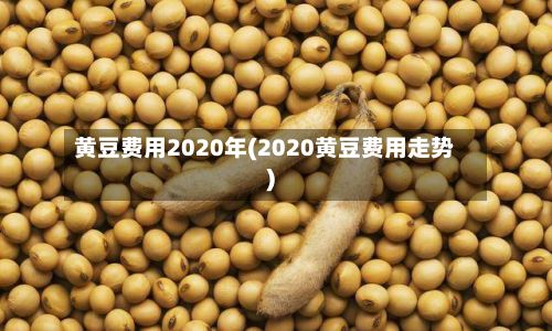 黄豆费用2020年(2020黄豆费用走势)-第2张图片