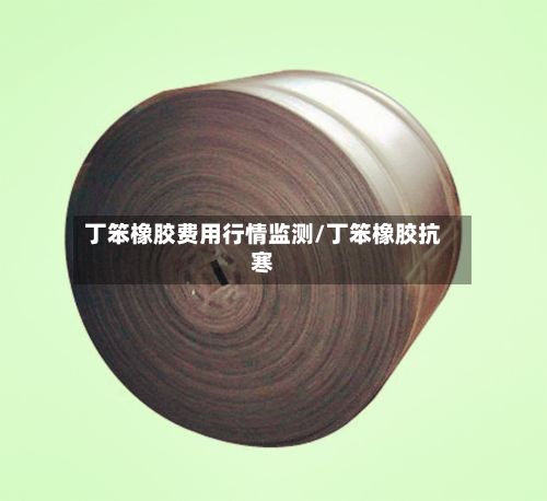 丁笨橡胶费用行情监测/丁笨橡胶抗寒-第3张图片
