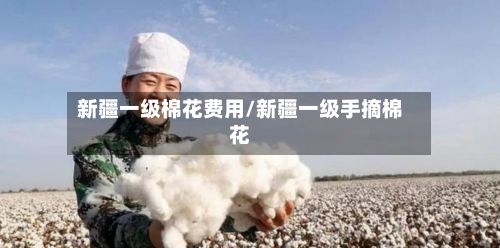 新疆一级棉花费用/新疆一级手摘棉花-第3张图片