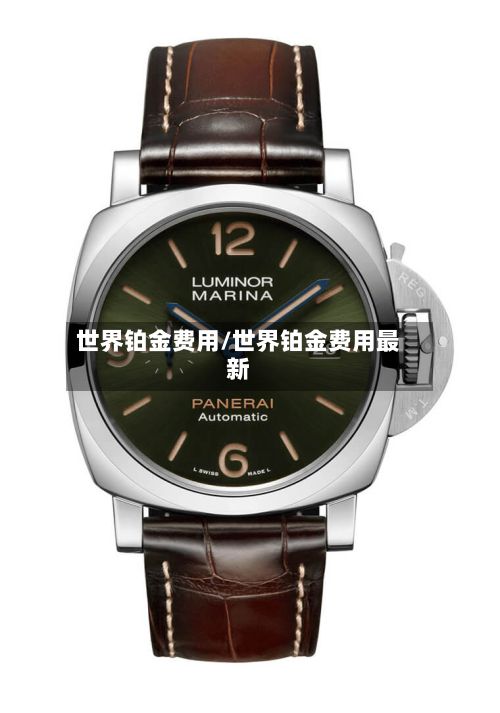 世界铂金费用/世界铂金费用最新-第2张图片