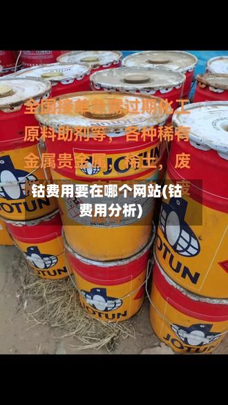钴费用要在哪个网站(钴费用分析)-第2张图片